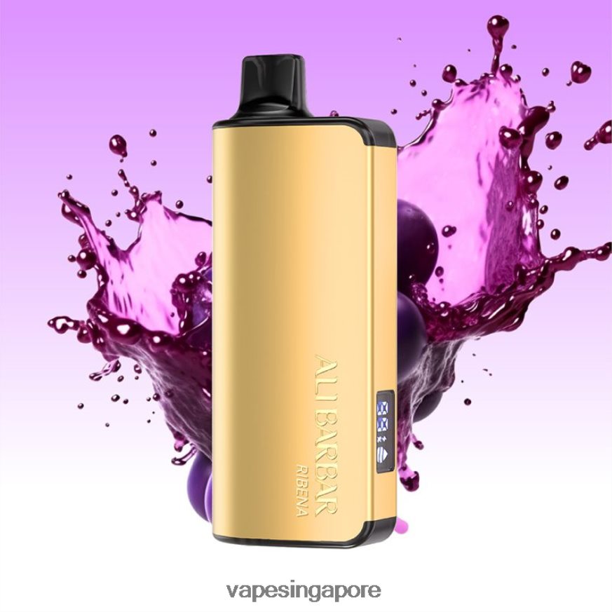 Best Disposable Vape Singapore ZB848042 Alibarbar Ingot 20000 Disposable Vape Ribena