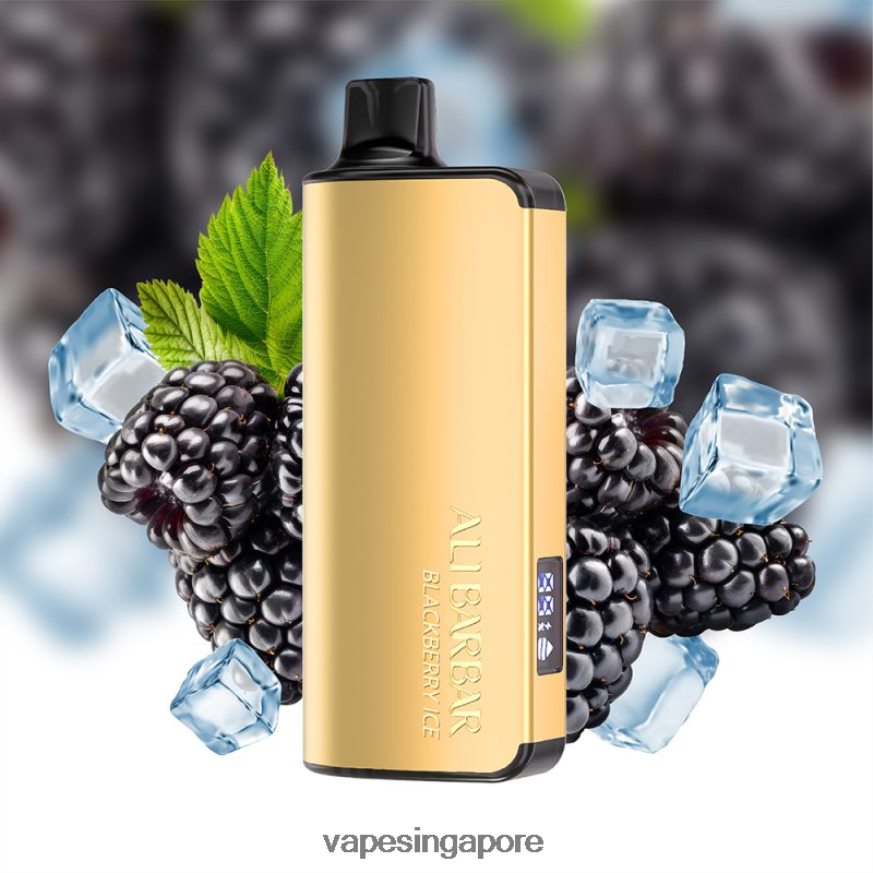 Disposable E Cigarette Singapore ZB848049 Alibarbar Ingot 20000 Disposable Vape Blackberry Ice