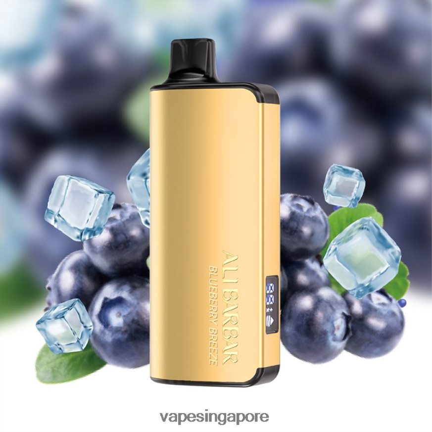 Disposable Vape SG ZB848032 Alibarbar Ingot 20000 Disposable Vape Blueberry Breeze