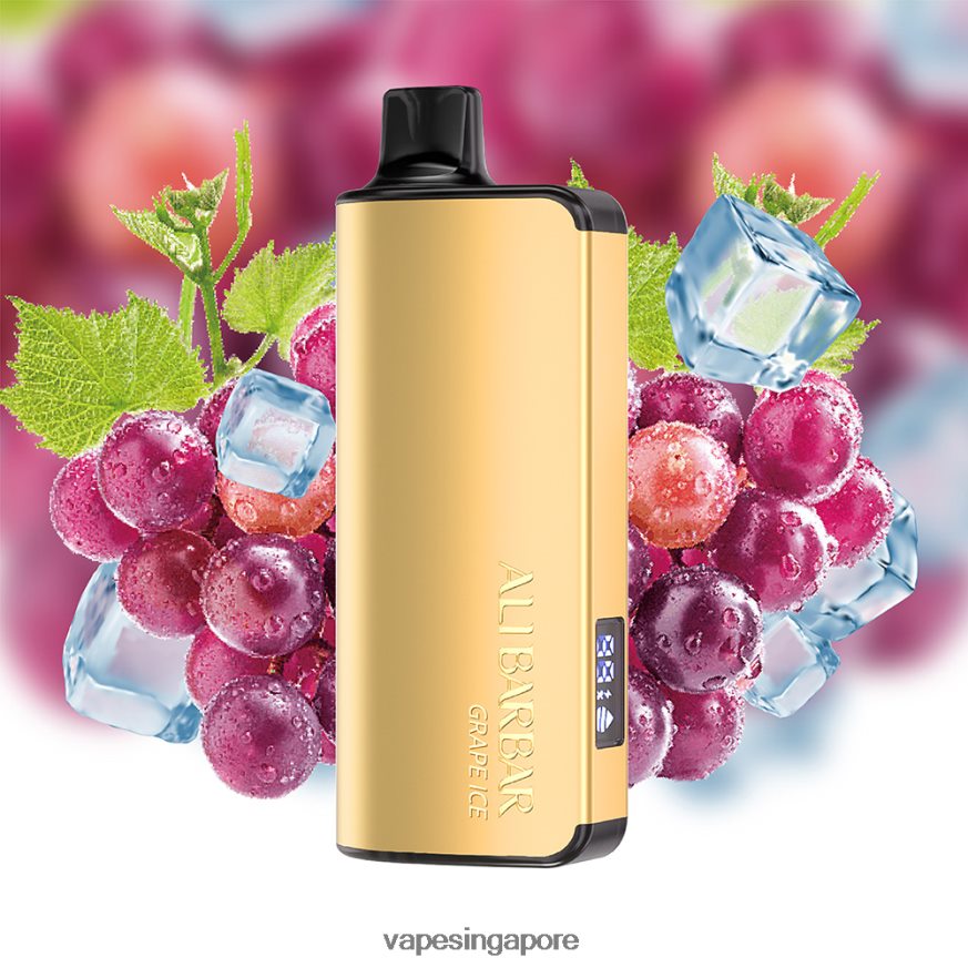 Vape Singapore ZB848020 Alibarbar Ingot 9000 Disposable Vape Grape Ice
