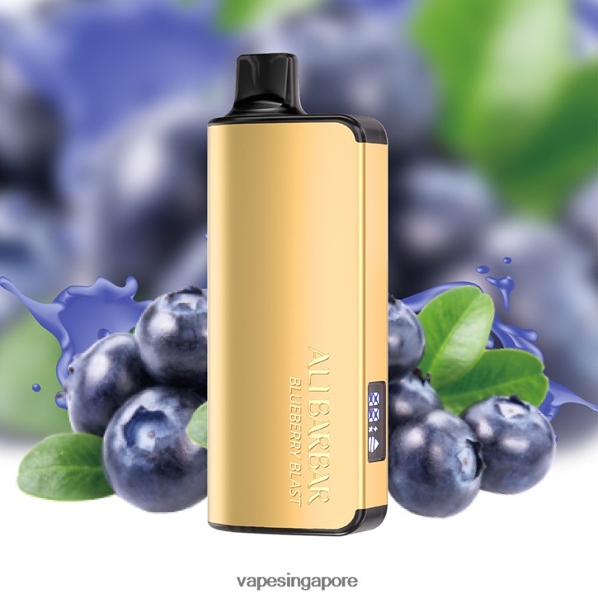 Vape Singapore ZB848029 Alibarbar Ingot 9000 Disposable Vape Mango Magic