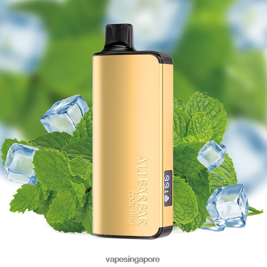 Vape Wholesale Supplier ZB848018 Alibarbar Ingot 9000 Disposable Vape Cool Mint