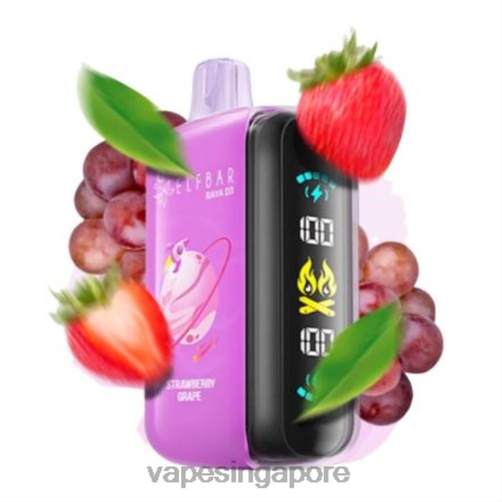 Elf Bar Raya D3 25000 - LT80N1 Disposable Vape Supplier Singapore