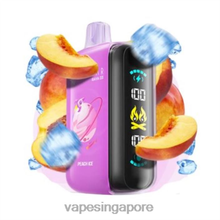 Elf Bar Raya D3 25000 - LT80N1 Disposable Vape Supplier Singapore
