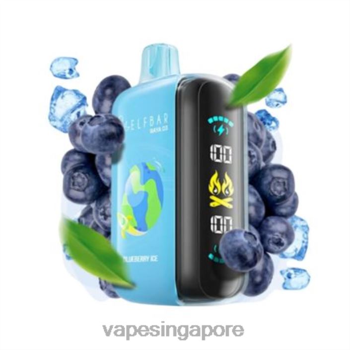 Elf Bar Raya D3 25000 - LT80N1 Disposable Vape Supplier Singapore