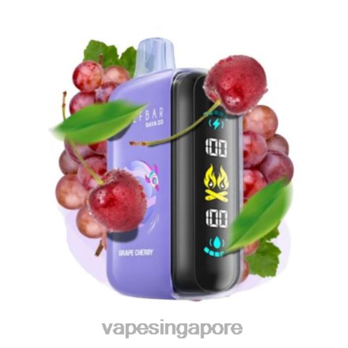 Elf Bar Raya D3 25000 - LT80N1 Disposable Vape Supplier Singapore
