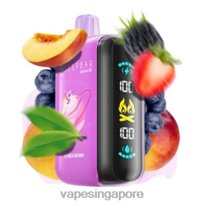 Elf Bar Raya D3 25000 - LT80N1 Disposable Vape Supplier Singapore
