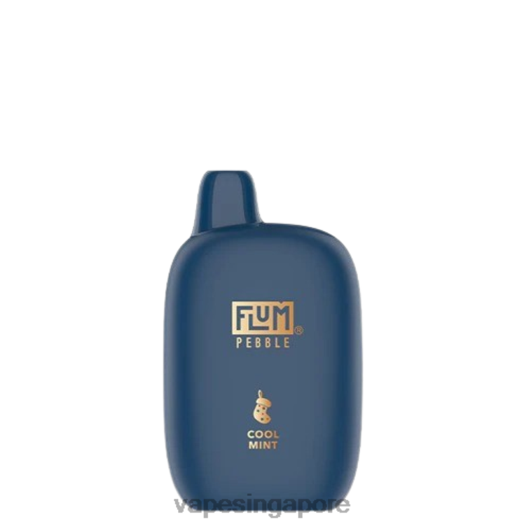 FLUM PEBBLES 6000 PUFFS (Christmas Edition) H0B865 Cool Mint Best Disposable Vape Singapore