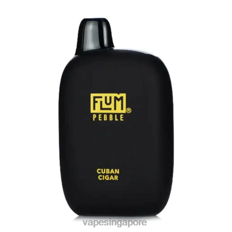 FLUM PEBBLES 6000 PUFFS H0B8628 Cuban Cigar Vape Supplier Singapore