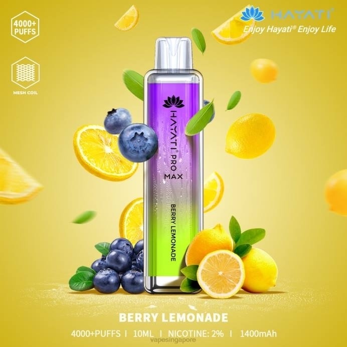 Berry Lemonade