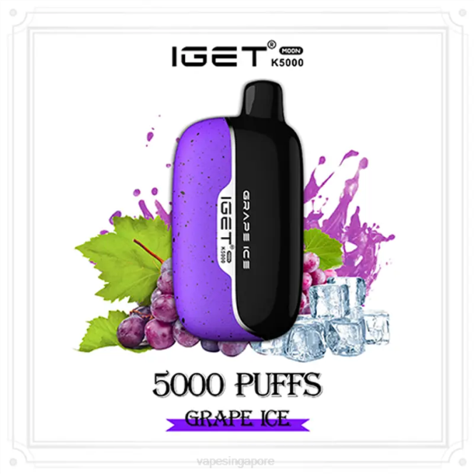 Disposable E Cigarette Singapore VL604 Grape Ice IGET Moon K5000