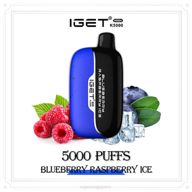 Disposable Vape Singapore VL603 Blueberry Raspberry Ice IGET Moon K5000