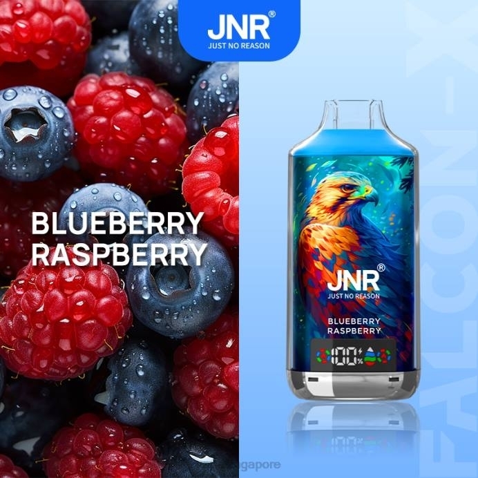 Blueberry Raspberry