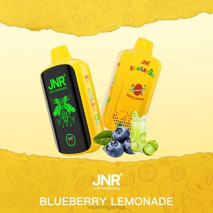 Blueberry Lemonade
