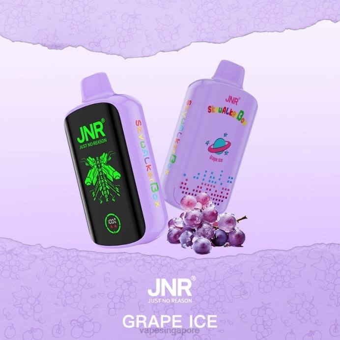 Grape Ice - best disposable Vape Singapore 2PLF587 JNR SKYWALKER BOX