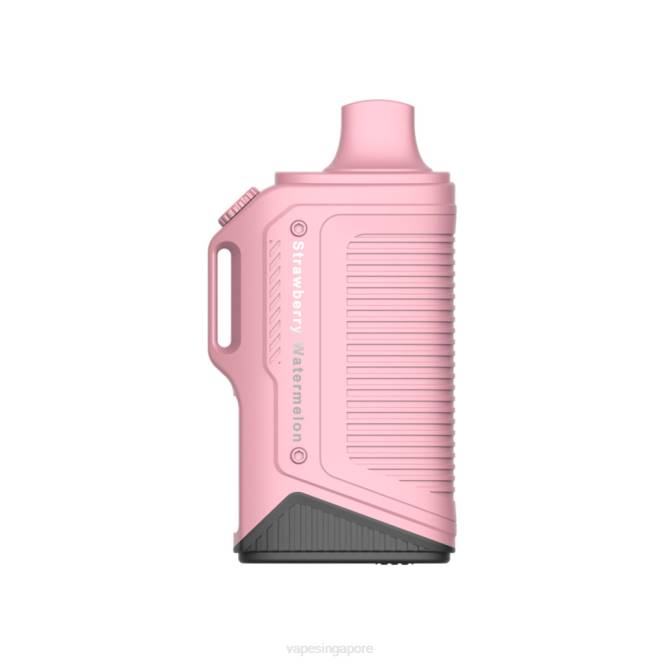 LAVIE Energy Box 15000 Puffs 4HB071 | Vape Wholesale Near Me Strawberry Watermelon