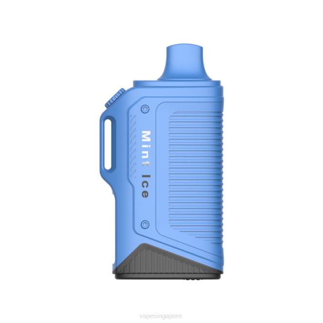 LAVIE Energy Box 15000 Puffs 4HB072 | Vape Wholesale Supplier Mint Ice