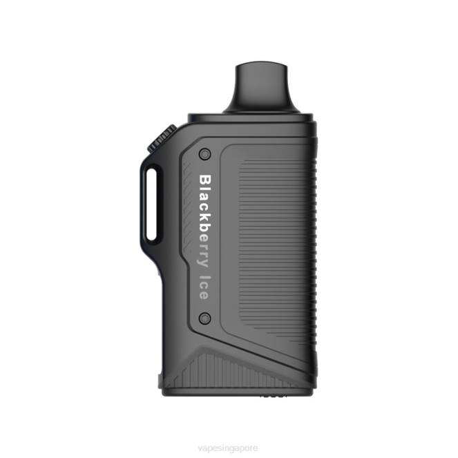 LAVIE Energy Box 15000 Puffs 4HB073 | Vape Supplier Singapore Blackberry Ice