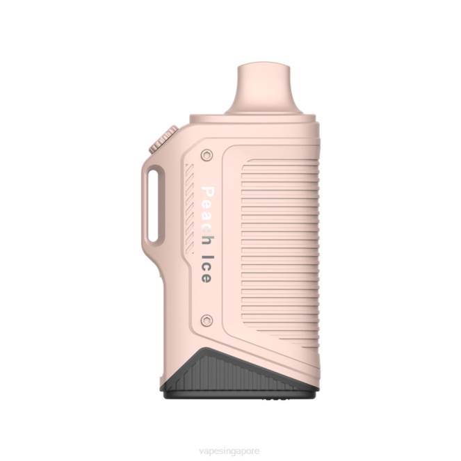 LAVIE Energy Box 15000 Puffs 4HB079 | Vape Wholesale Prices Peach Ice