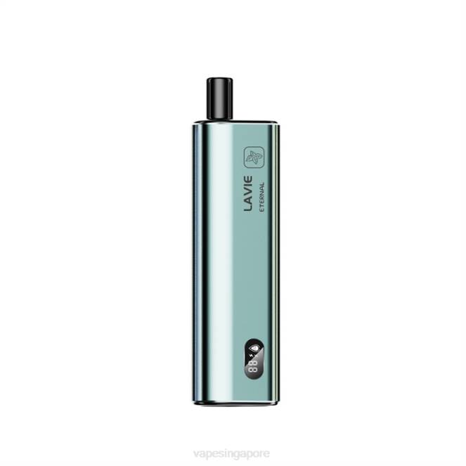 LAVIE ETERNAL 10000 Puffs 4HB0121 | Disposable E Cigarette Singapore Mint Ice