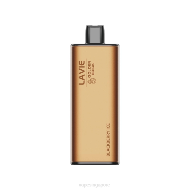 LAVIE GOLDEN BRICK 10000 Puffs 4HB053 | Vape Wholesale Near Me Blackberry Ice