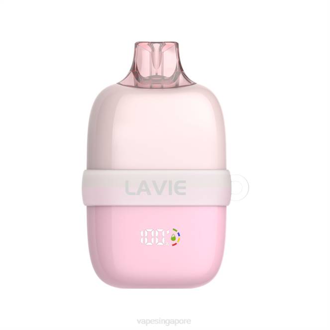 LAVIE INSIDER 12000 Puffs 4HB084 | Disposable Vape Singapore Rose Black Tea