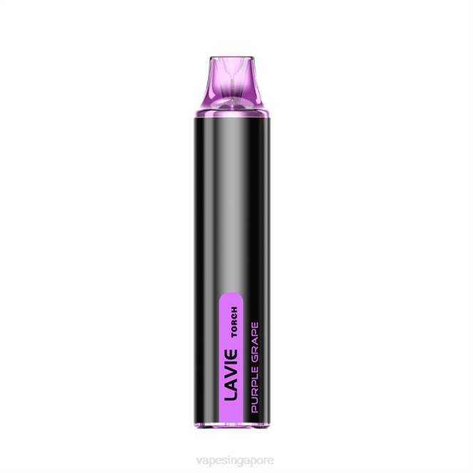 LAVIE Torch 6000 Puffs 4HB0135 | Vape Wholesale Supplier Purple Grape
