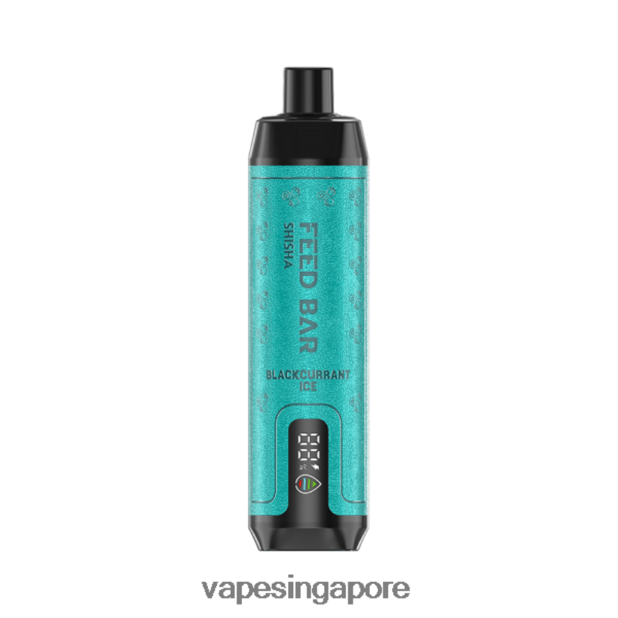 Best Disposable Vape Singapore ZB848096 Vapsolo SHISHA Disposable Vape Blackcurrant Ice