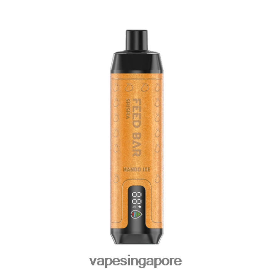 Disposable E Cigarette Singapore ZB8480103 Vapsolo SHISHA Disposable Vape Mango Ice