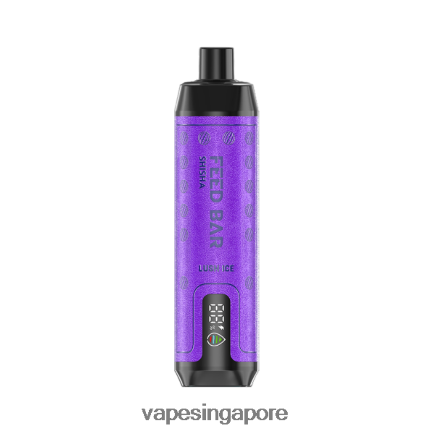 Disposable Vape Singapore ZB8480102 Vapsolo SHISHA Disposable Vape Lush Ice