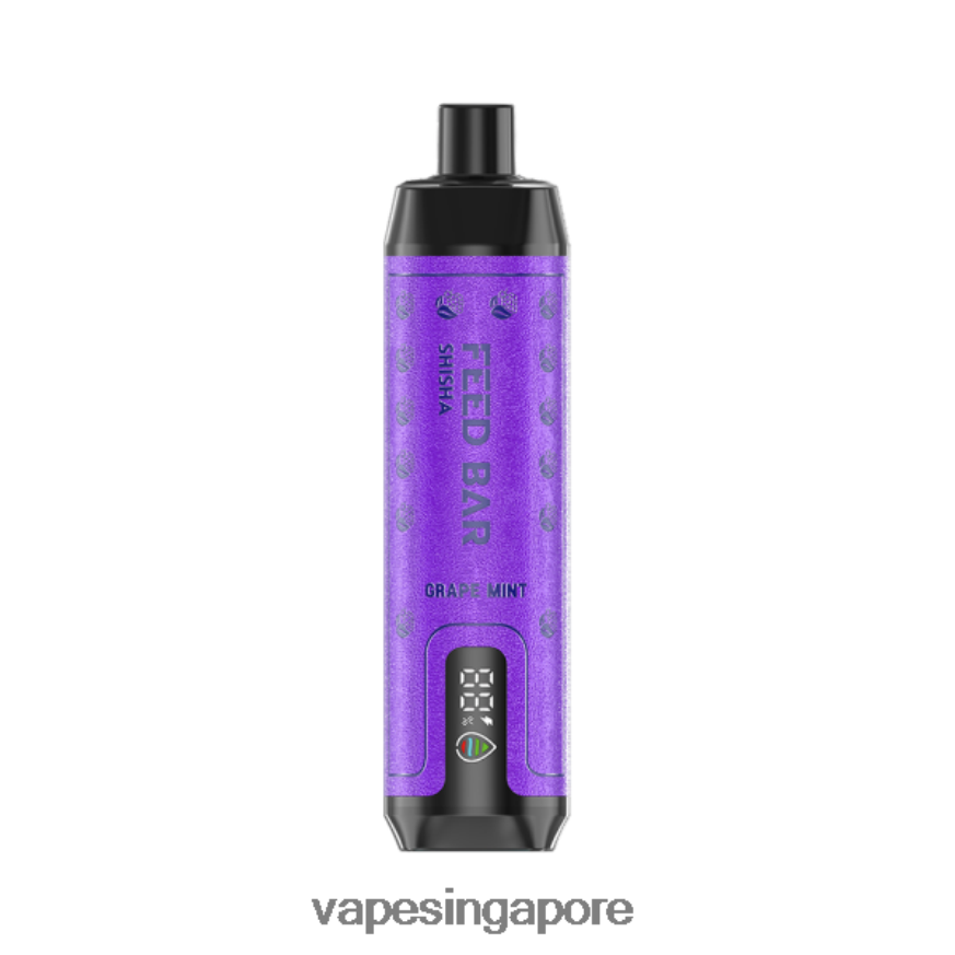 Vape Supplier Singapore ZB8480100 Vapsolo SHISHA Disposable Vape Grape Mint