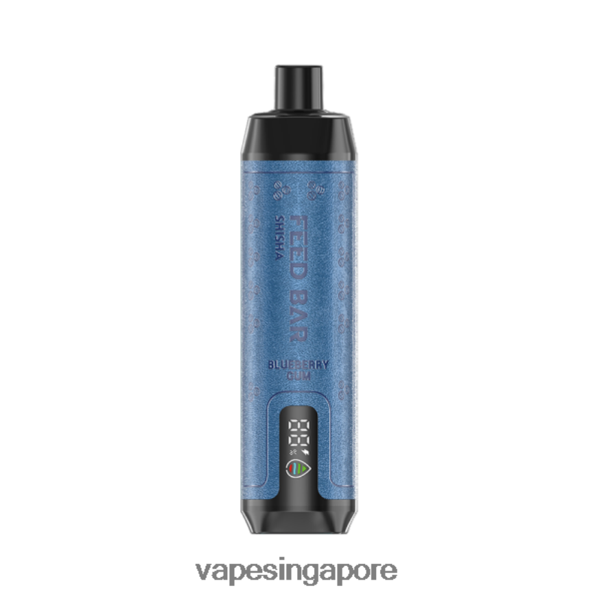 Vape Wholesale Near Me ZB848098 Vapsolo SHISHA Disposable Vape Blueberry Gum