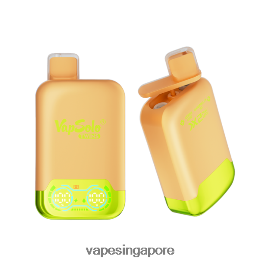 Best Disposable Vape Singapore ZB8480123 Vapsolo TWINS Disposable Vape Lemone Lime & Watermelon Ice
