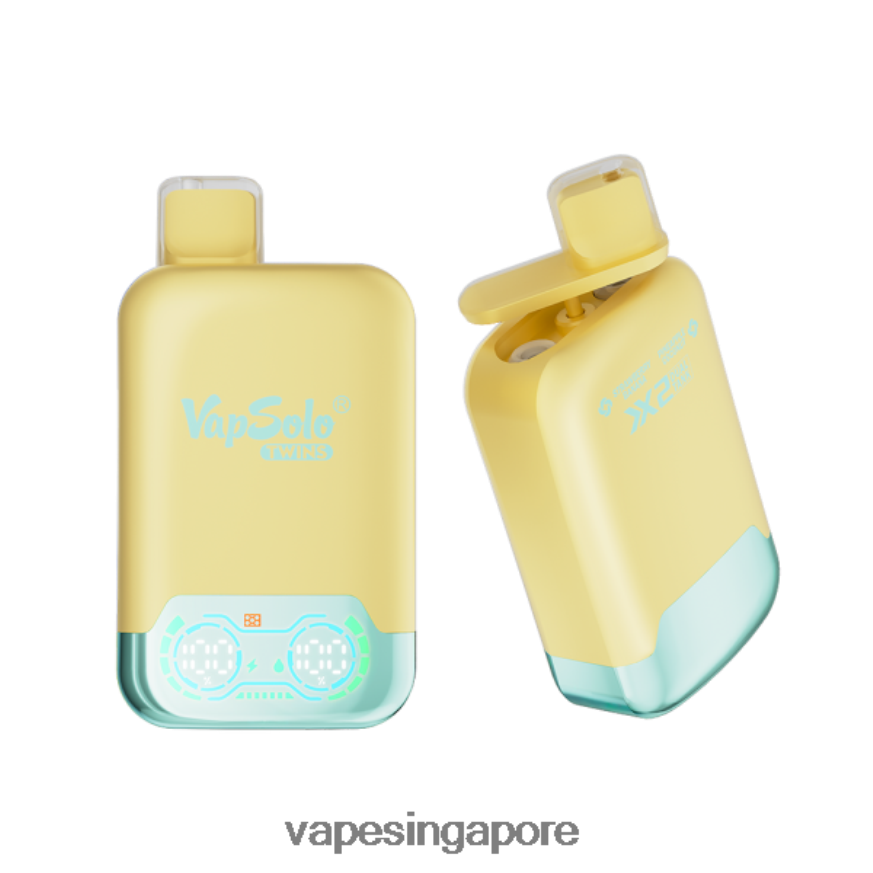 Vape Wholesale Near Me ZB8480125 Vapsolo TWINS Disposable Vape Pineapple Coconut & Strawberry Banana