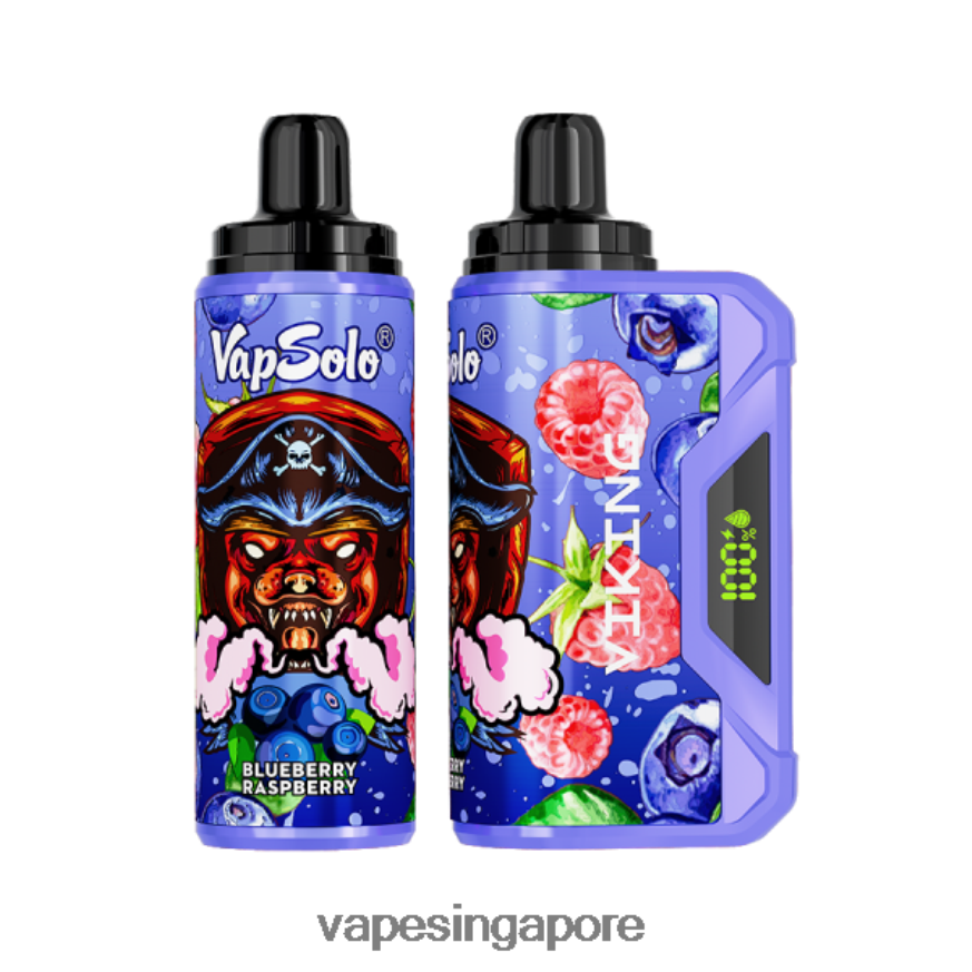 Best Disposable Vape Singapore ZB8480132 Vapsolo VIKING Disposable Vape Blueberry Raspberry