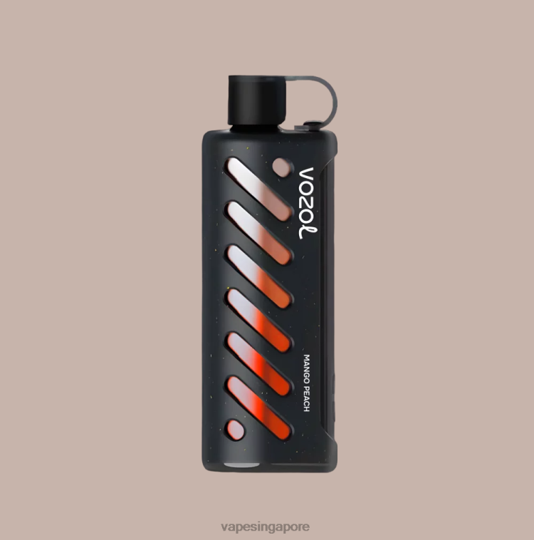 VOZOL Gear Shisha 25000 H0B861 Multi Vape Supplier Singapore