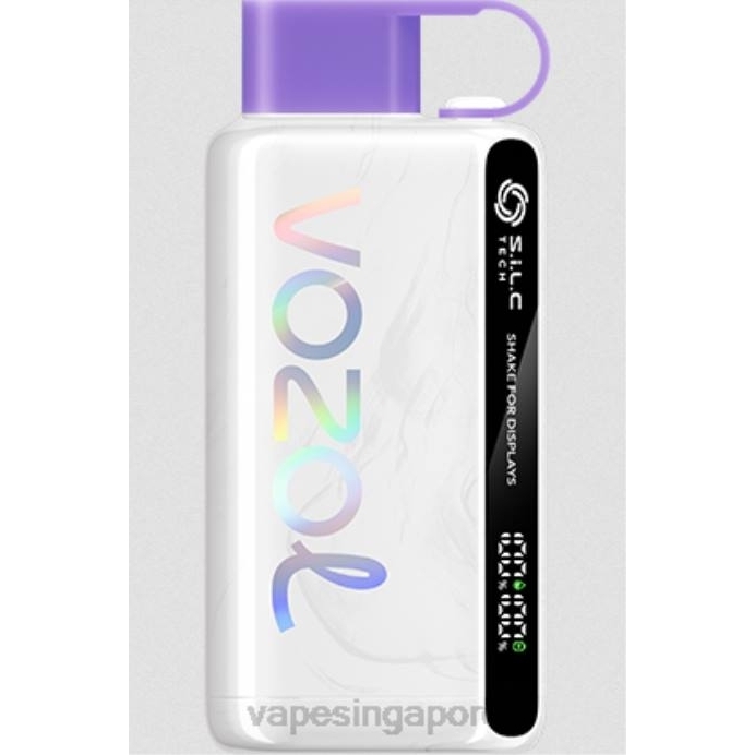 Grape Ice - Vape Singapore 2PLF13 VOZOL STAR 9000/12000 5%